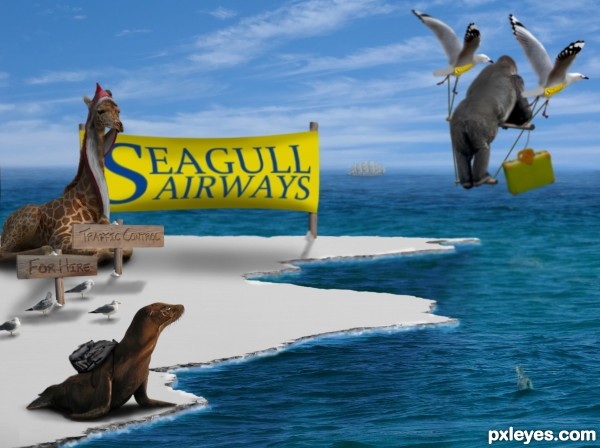 SeaGull Airways photoshop picture